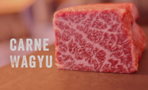 Carne Wagyu